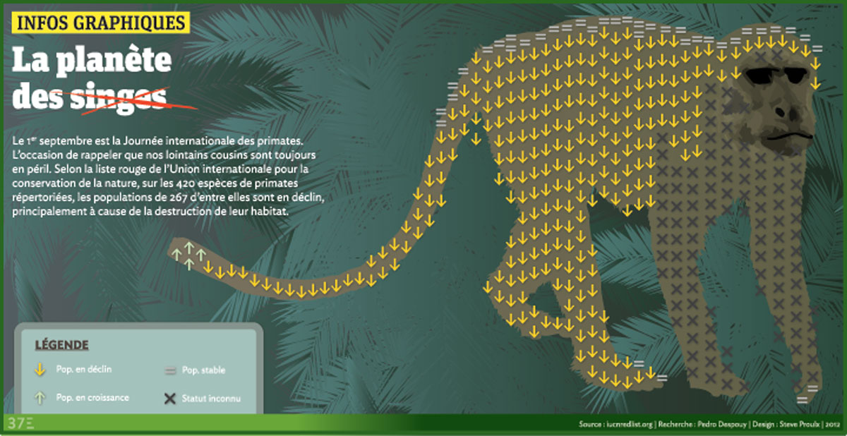 Infos graphiques primates