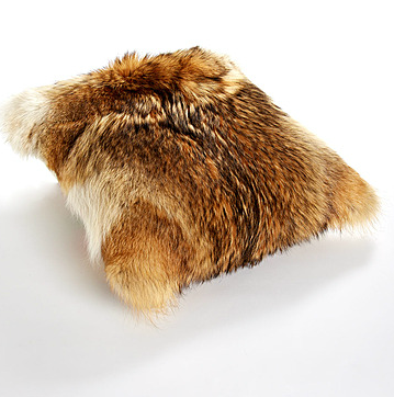 coussin coyote la baie