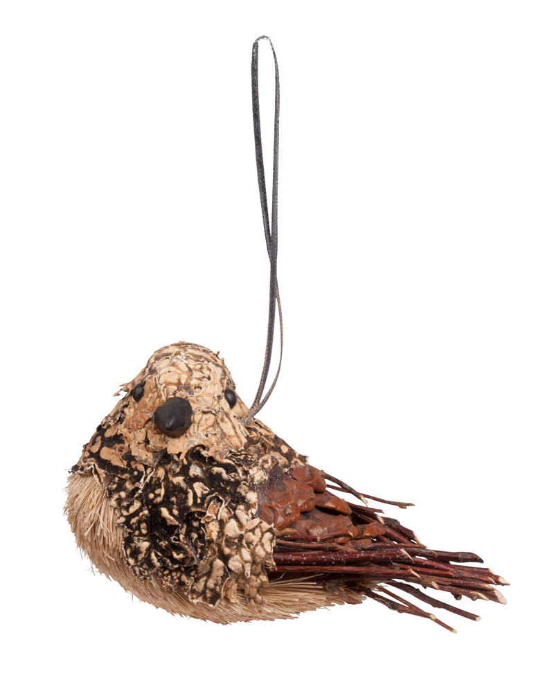 Animaux indigo oiseau