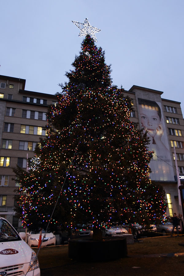 Le grand sapin