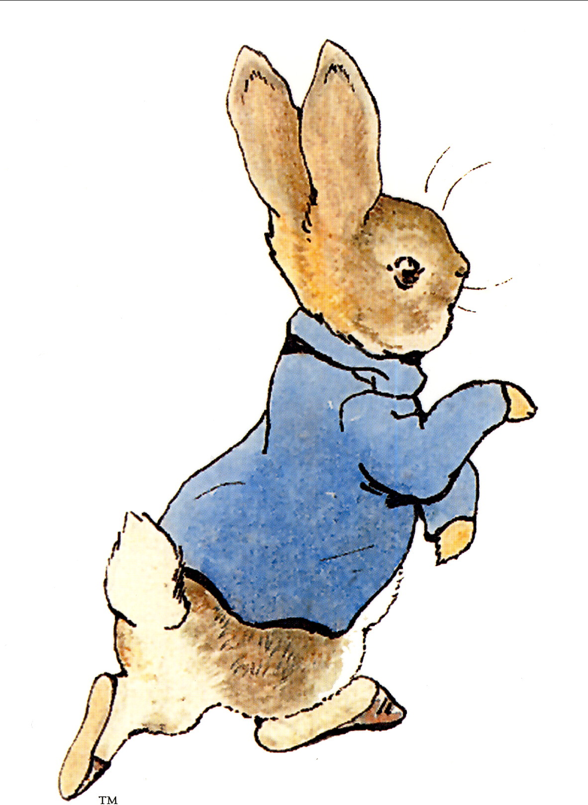 Pierre Lapin