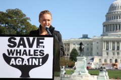 Hayden Panettiere Campaigns For ''Save The Whales Again!''