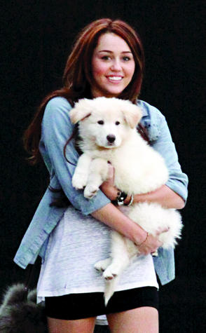 Art Vert Miley Cyrus_C100