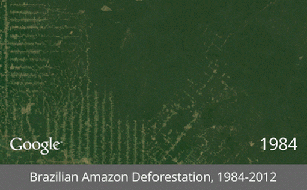 Brazilian Amazon Deforestation