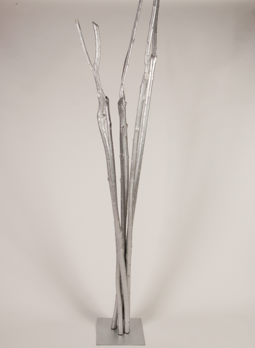 nature arbre argent