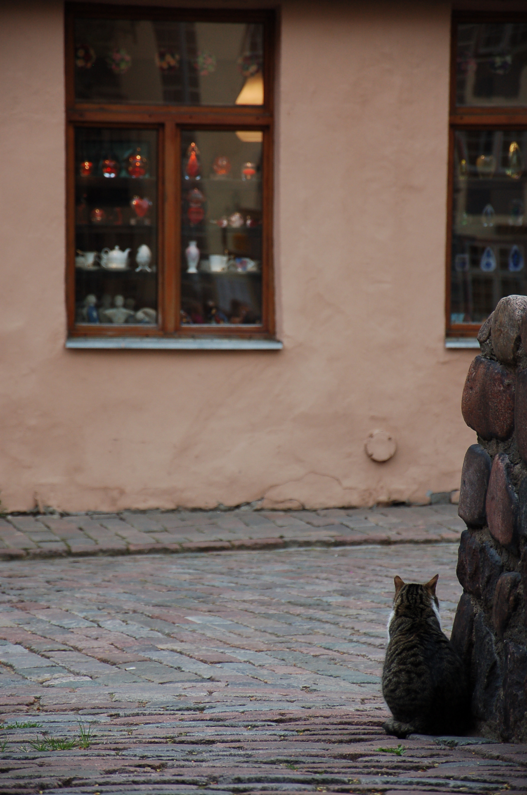 Chats Riga