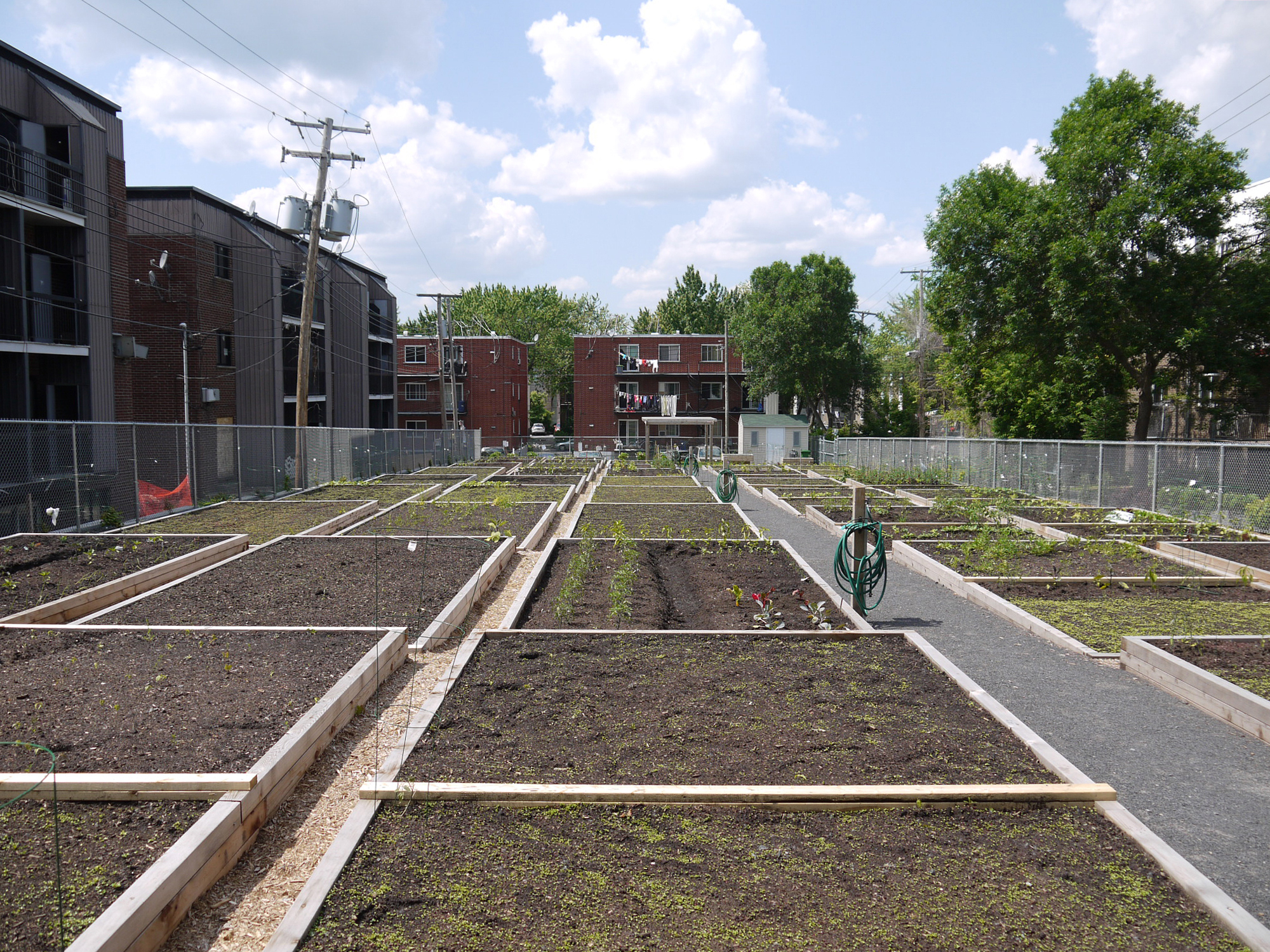 Espace agriculture urbaine