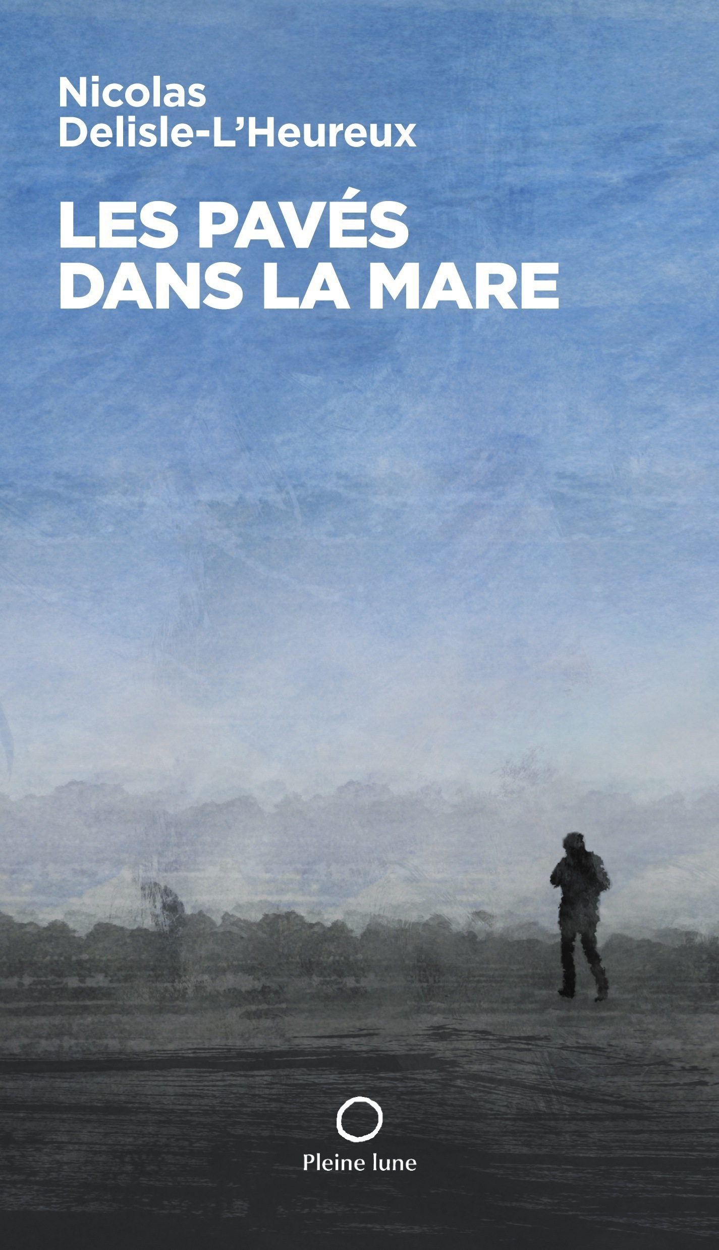 Les pavés dans la mare