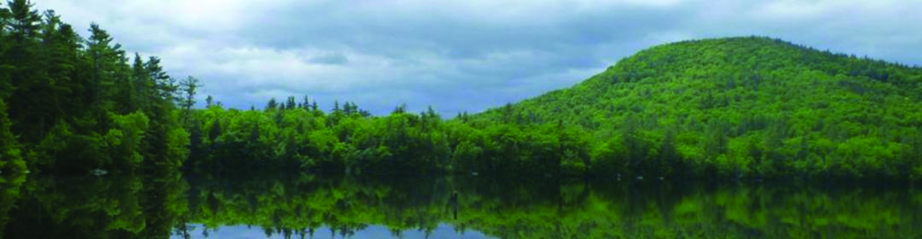SQUAM_WALKING
