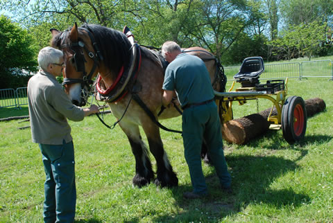 actu cheval parc