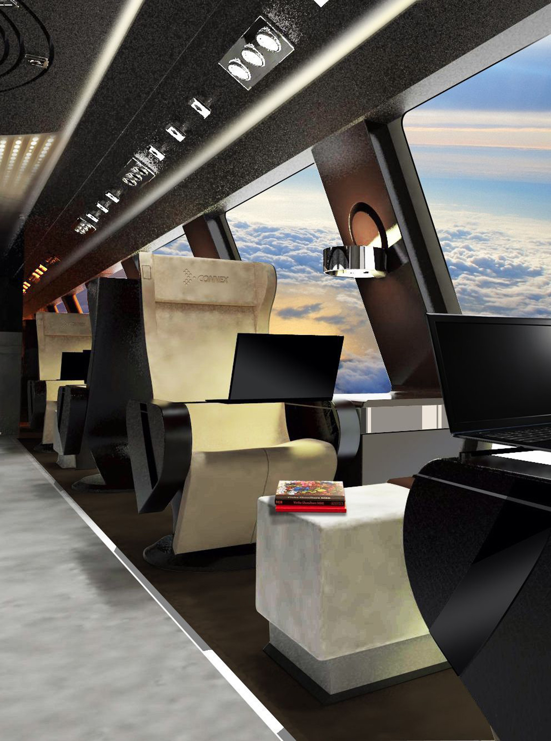 avion d'affaires Dorina Lusmanschi