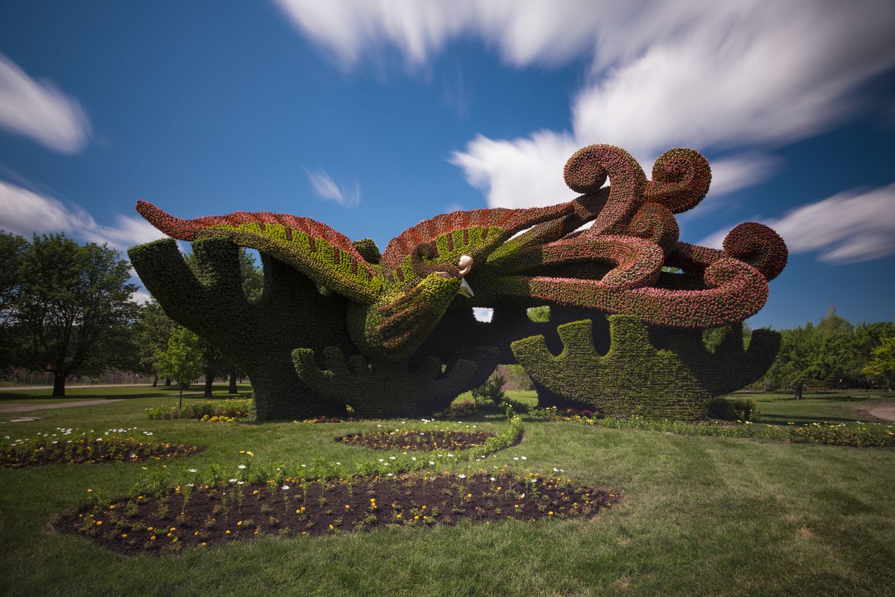 Planter des platanes pour attirer le Ph&eacute;nix Mosa&iuml;cultures,SVh7w9klivry13Ux7ItzzD500nLNrcS0yHBaMTD4Zfk
