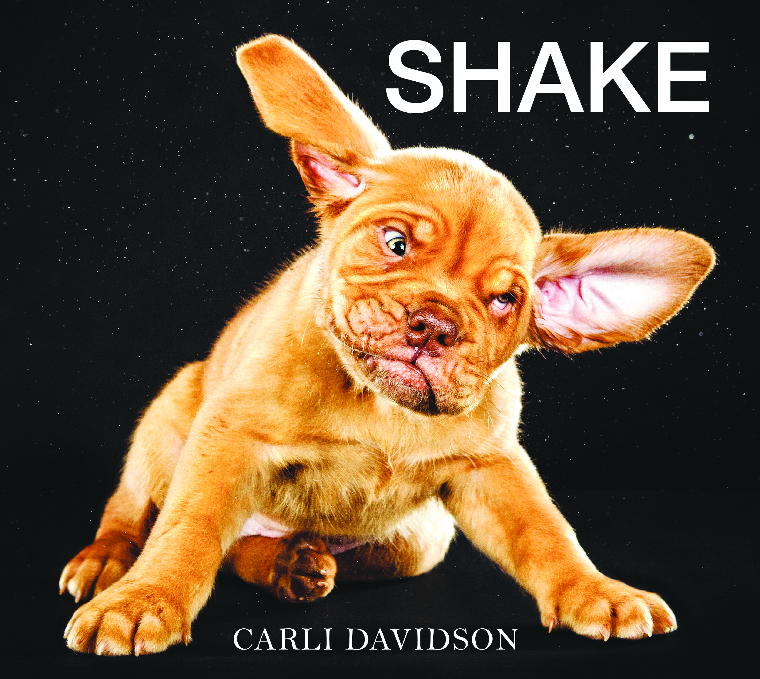 Book cover of SHAKE (Harper Design; October 22, 2013; Hardcover; $17.99)