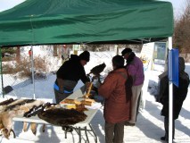 Hiver Fourrures