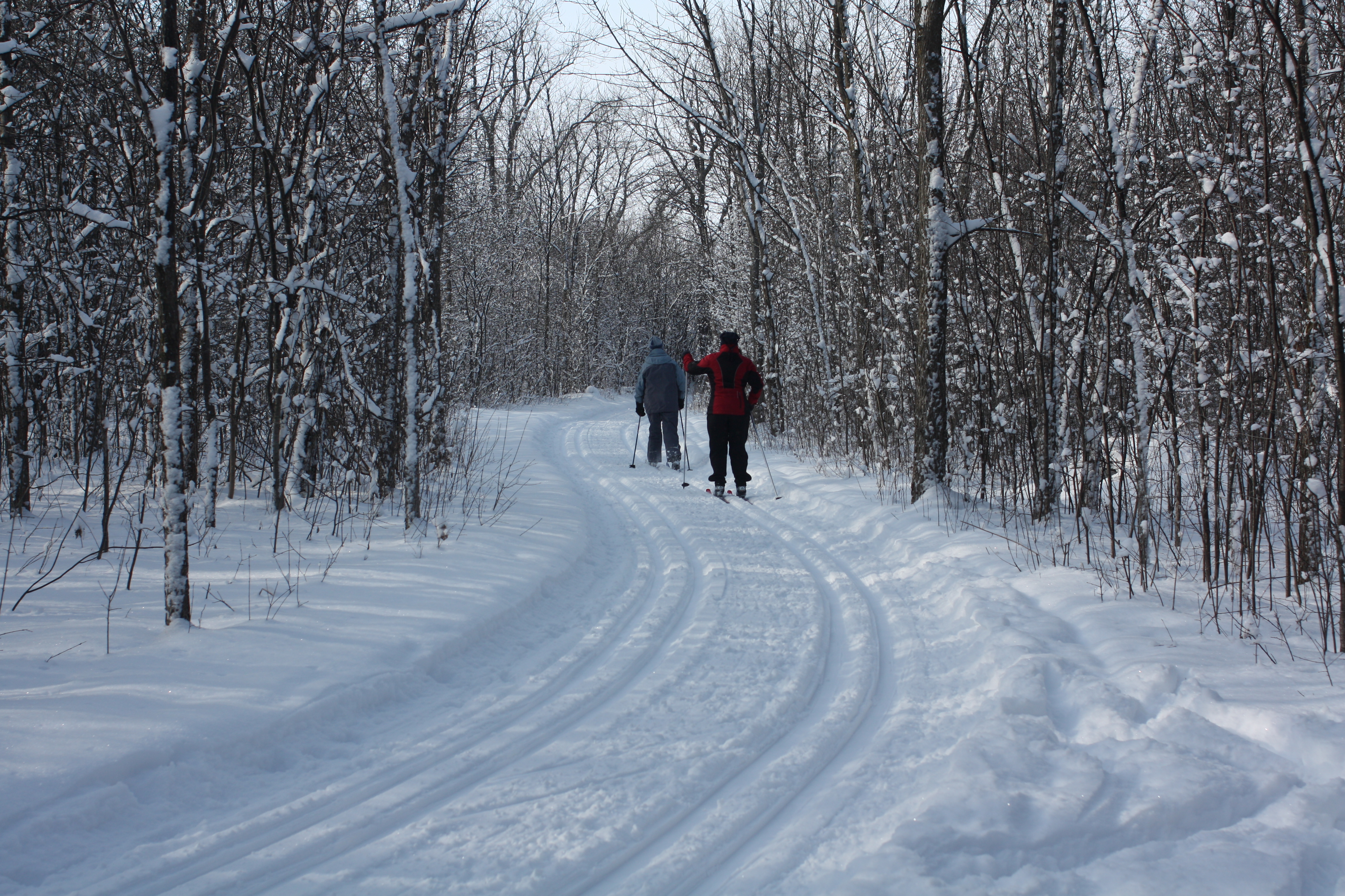 Hiver SkiFond