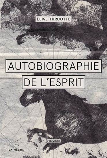 Autobiographie de l'esprit