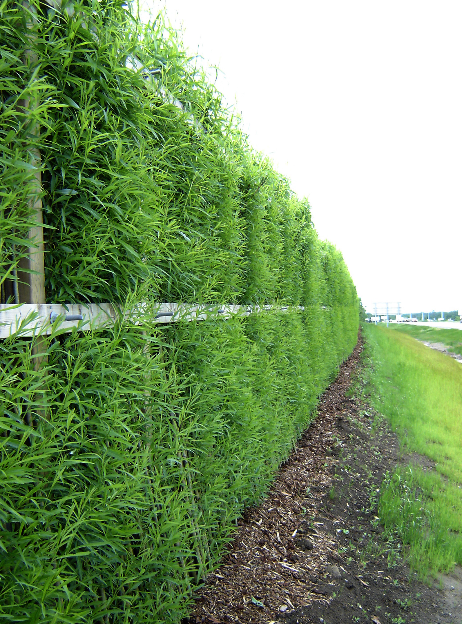Mur antibruit credit Michel Labrecque