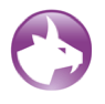 horoscope capricorne