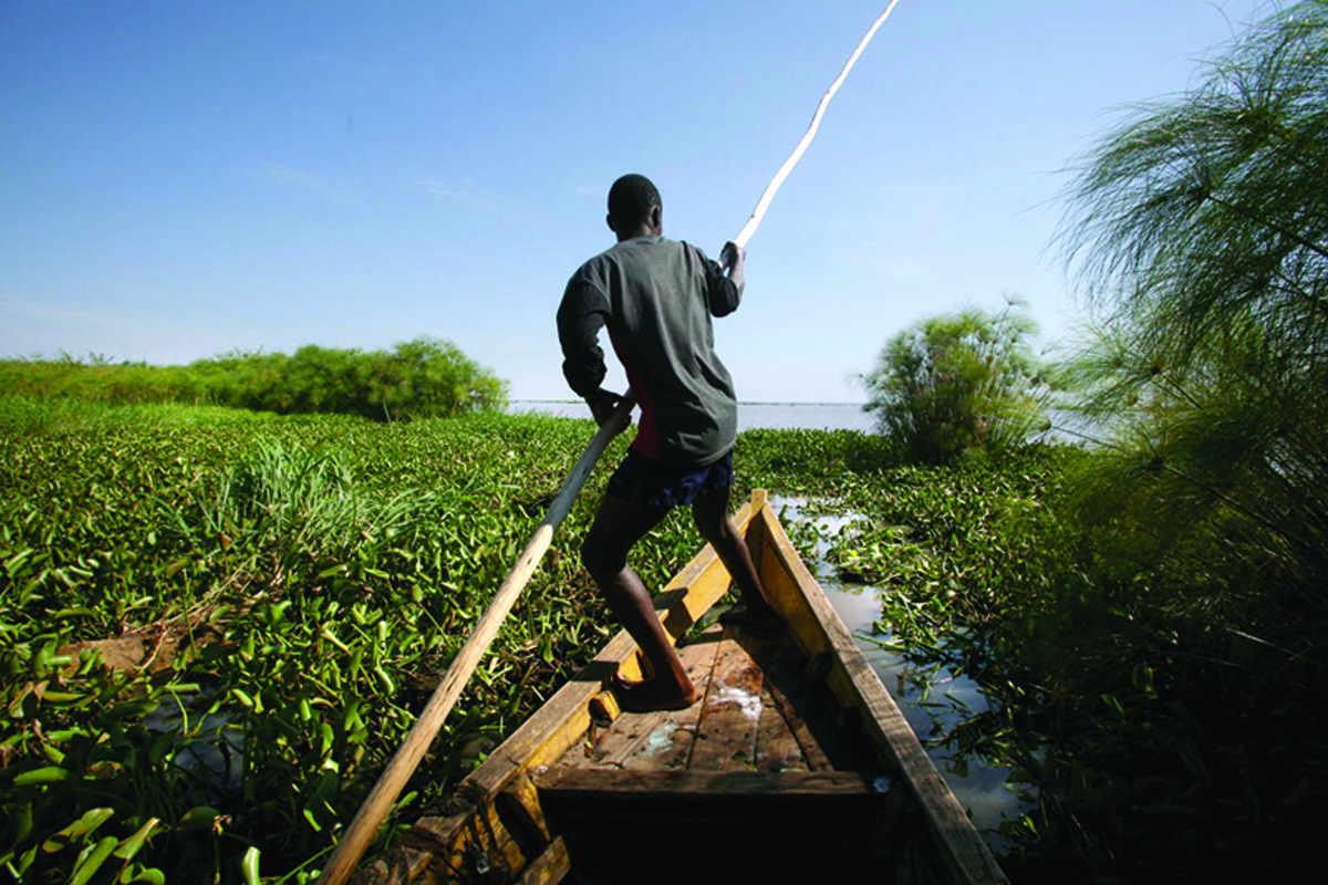 ENV-LAKEVICTORIA
