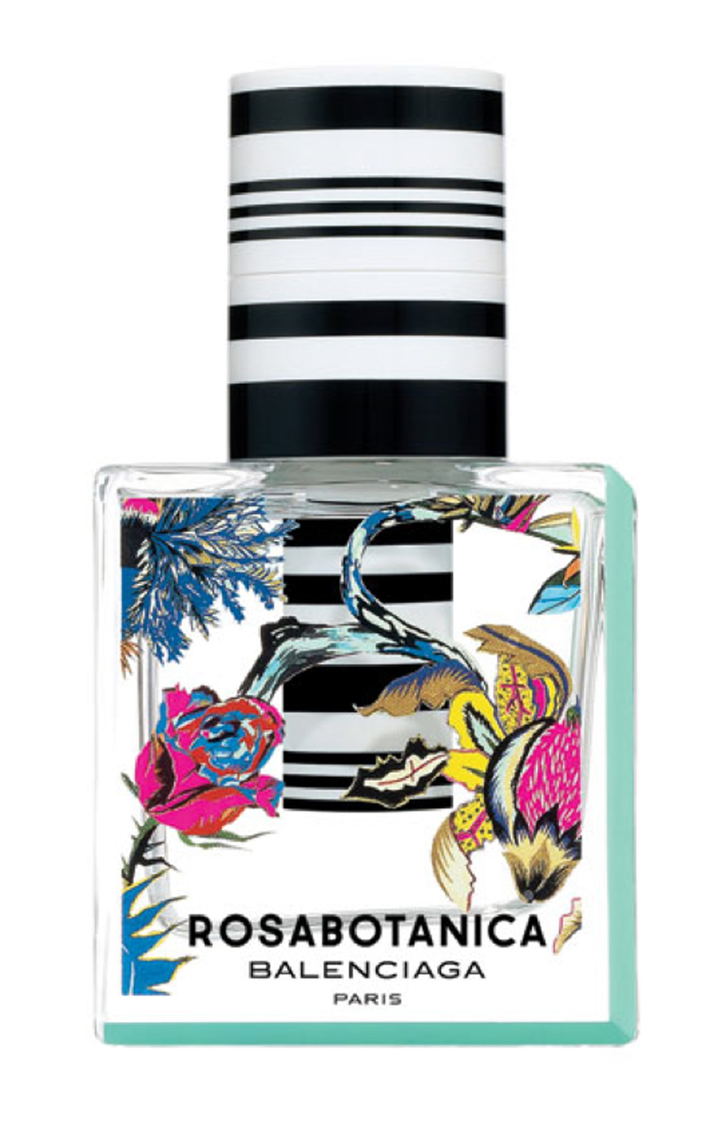 rosabotanica
