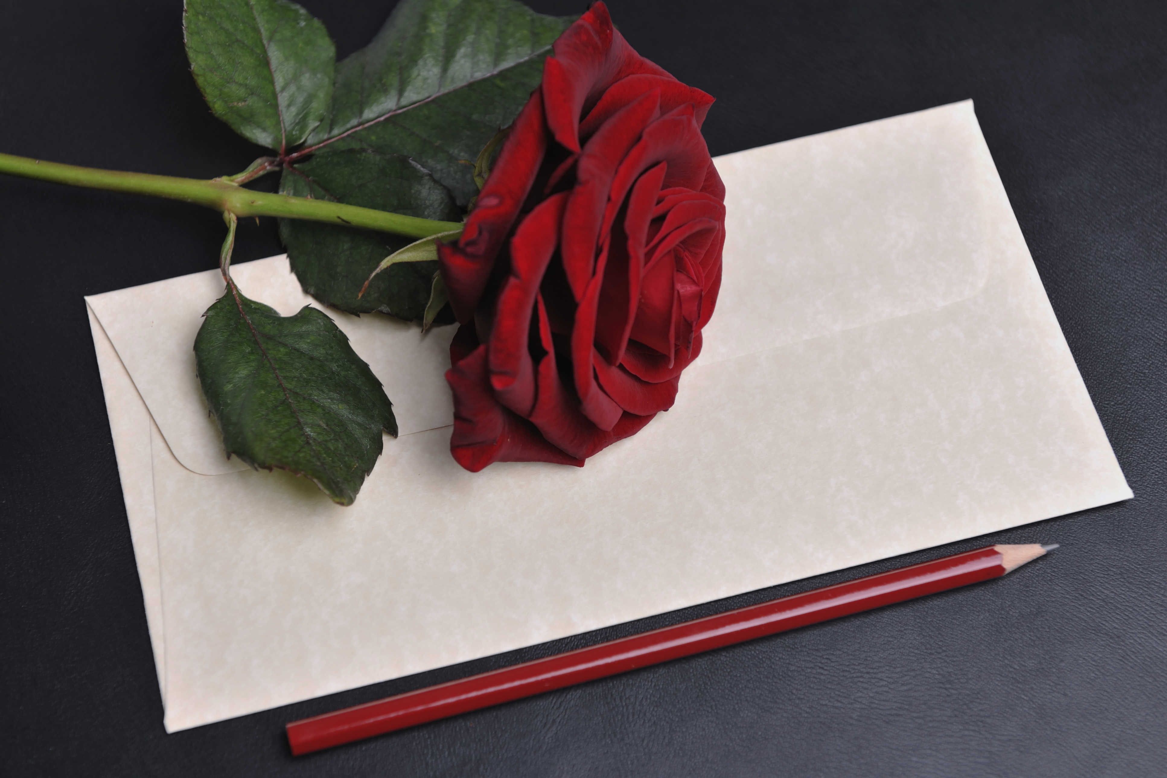 Rose lettre
