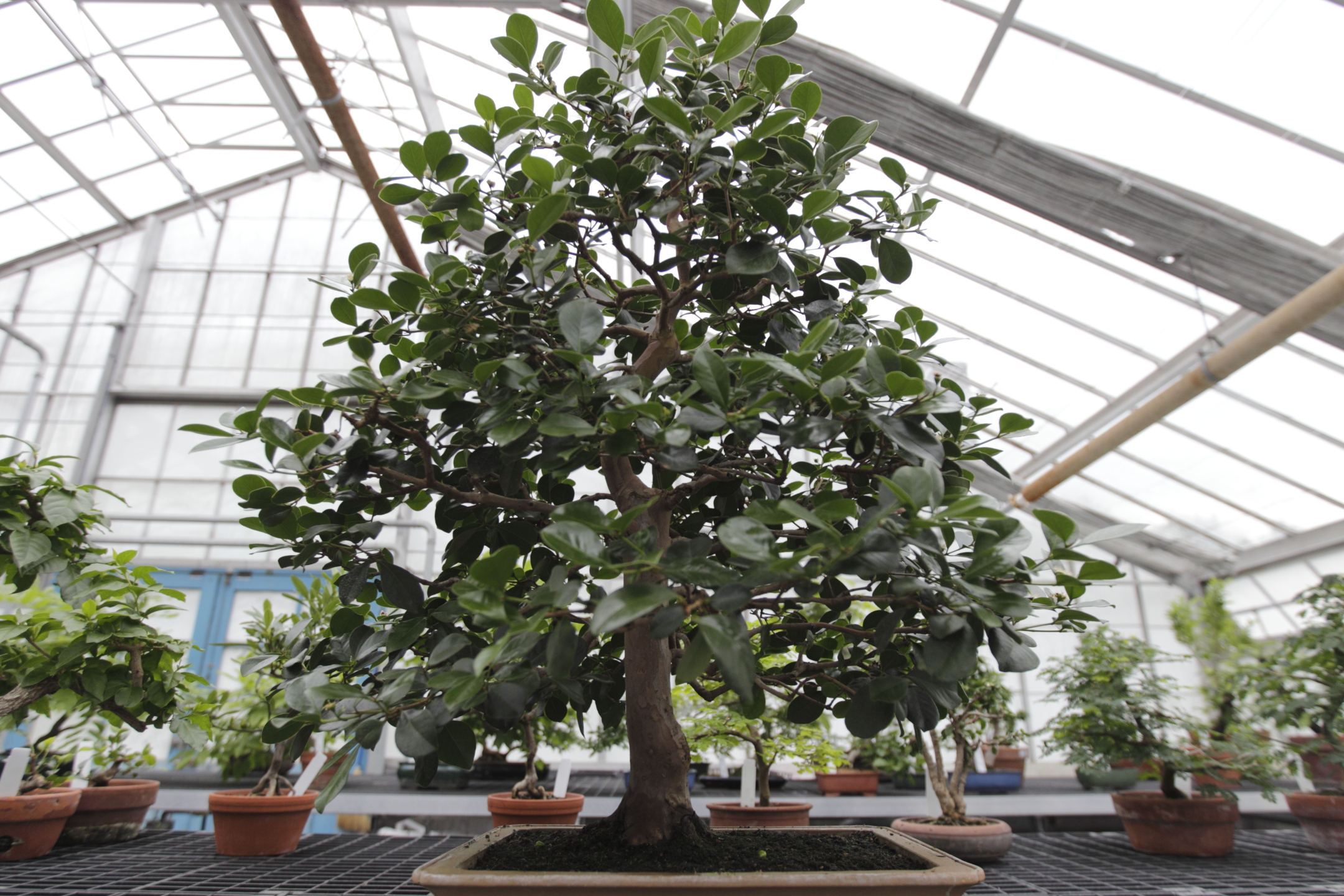jardin botanique24