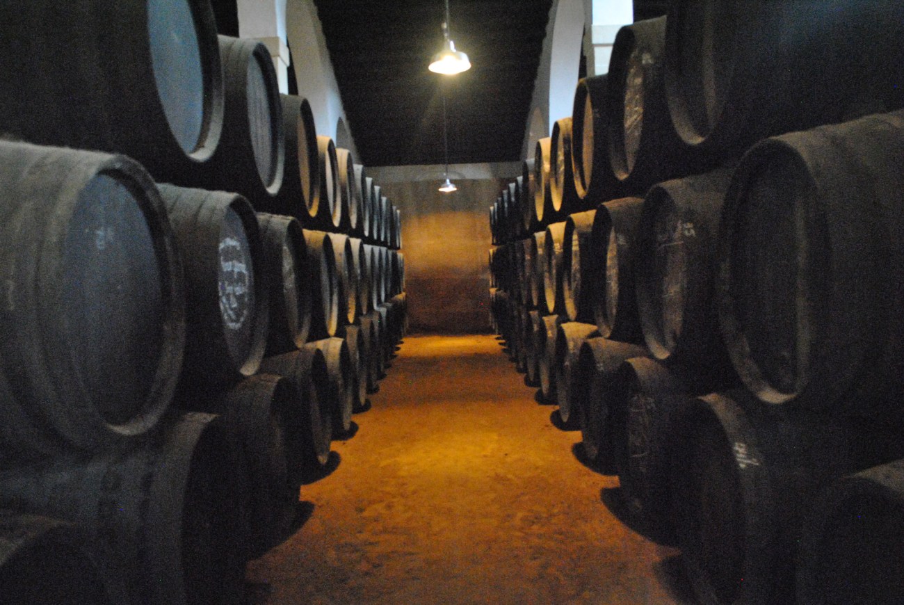 Ulysse_Vins de Jerez