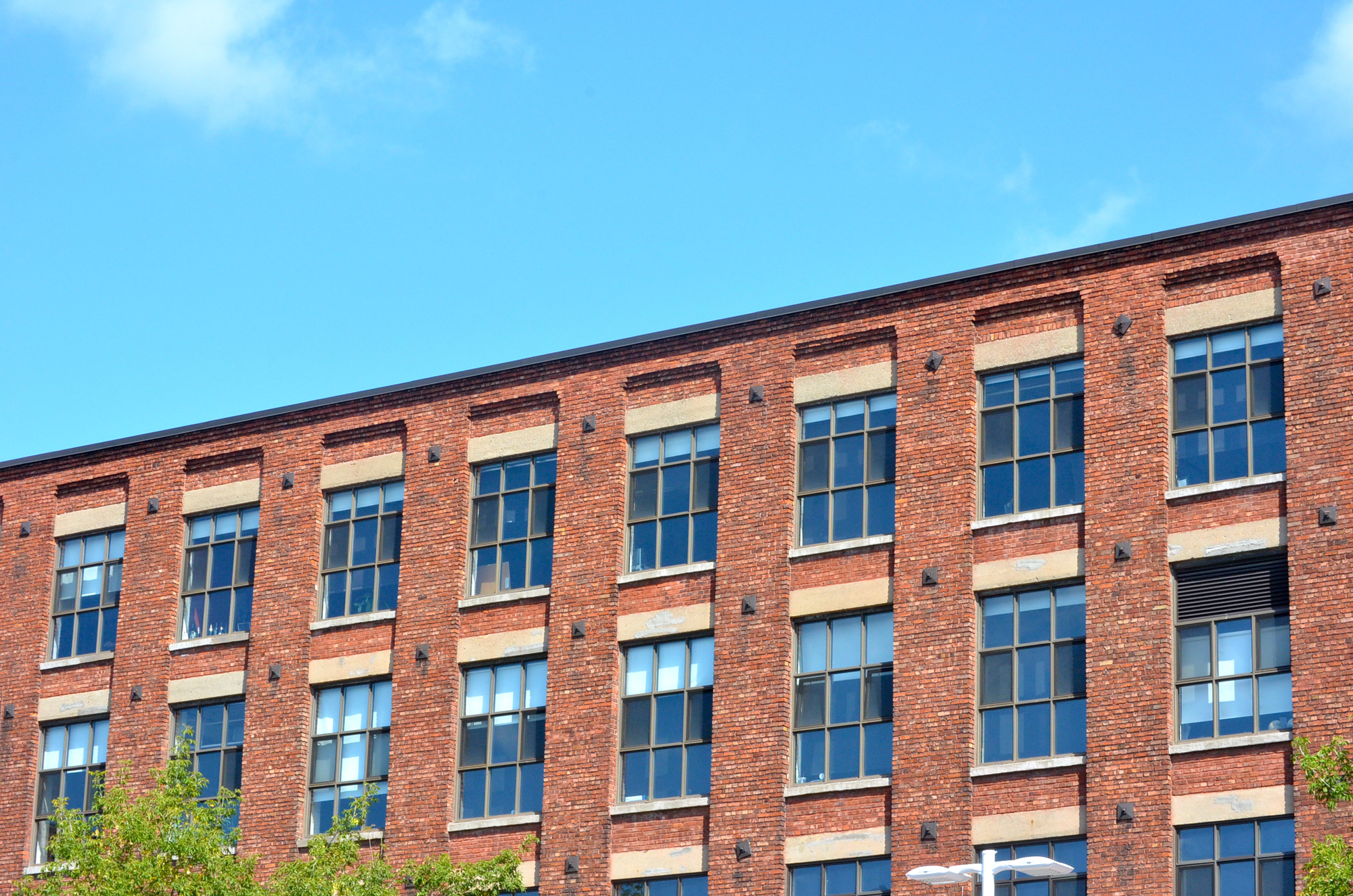 MILE END_2597_c100