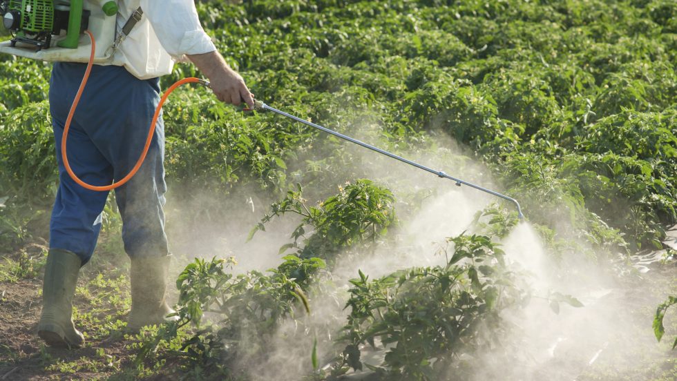 pesticides UPA