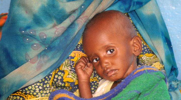 Crise alimentaire au Sahel
