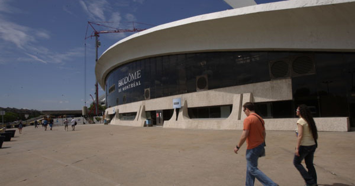 Metamorphose En Vue A L Insectarium Au Biodome Et Au Jardin Botanique Metamorphose En Vue A L Insectarium Au Biodome Et Au Jardin Botanique