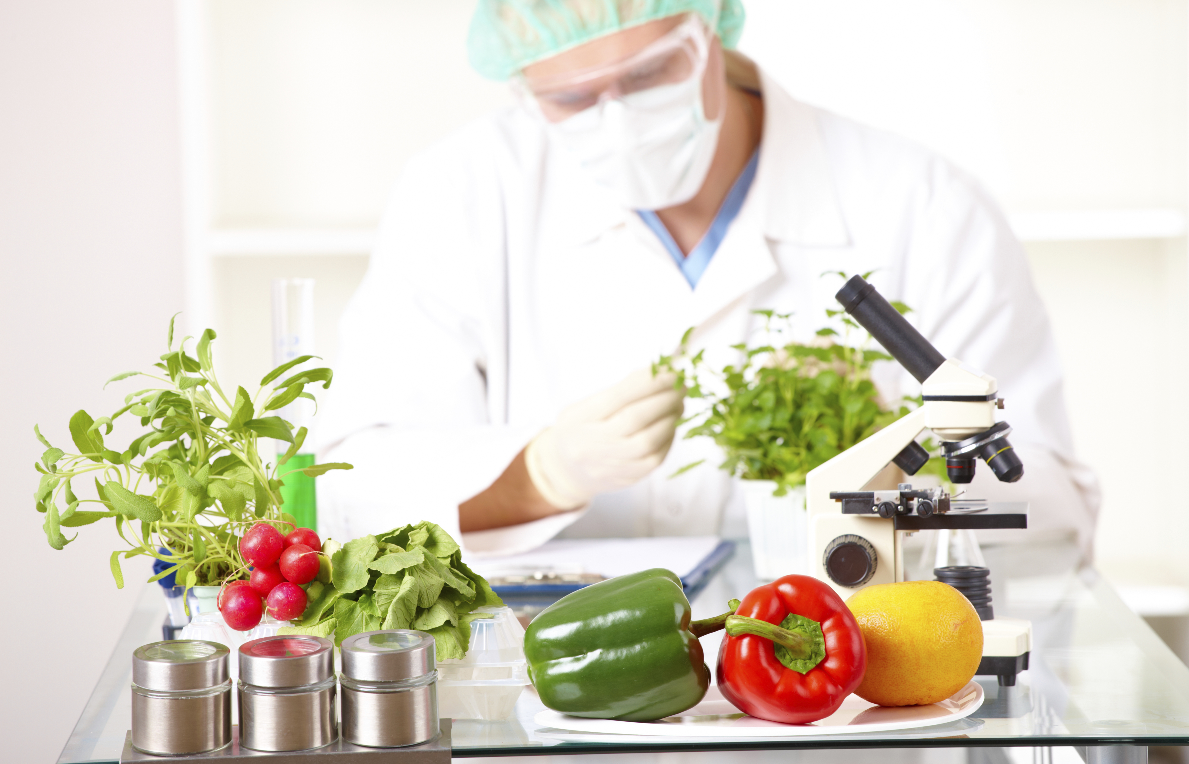 Безопасность продовольственных продуктов. Биотехнология пищевых продуктов. Экспертиза овощей. Безопасность пищевых продуктов. Инженерия пищевых продуктов.