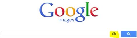Googleimage