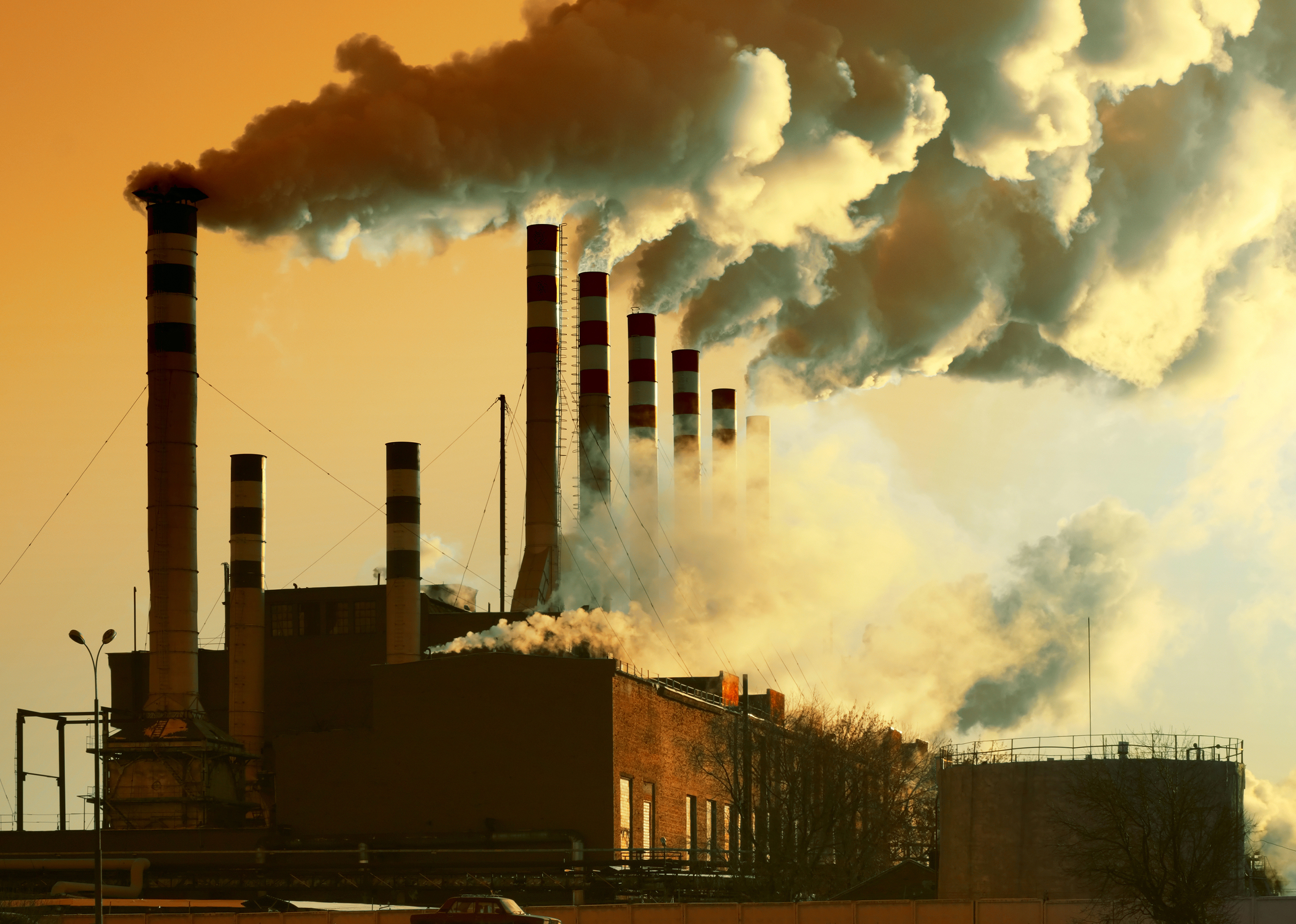 chute cheveux pollution
