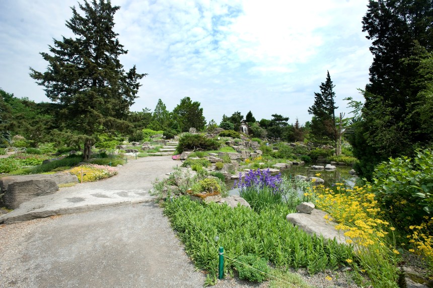 Projet Montréal En Faveur De La Gratuité Au Jardin Botanique