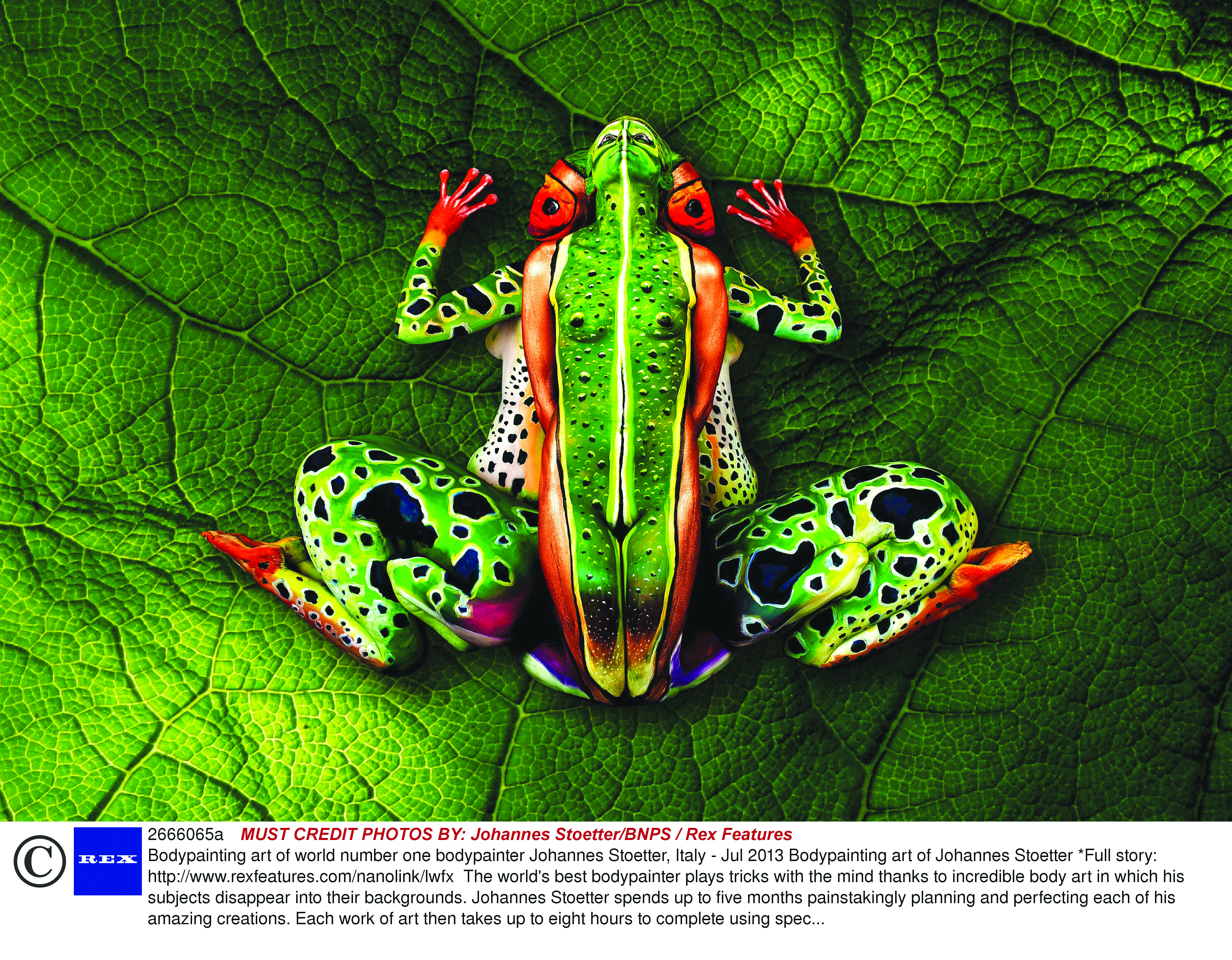 Femme Qui Sort Une Grenouille De ça