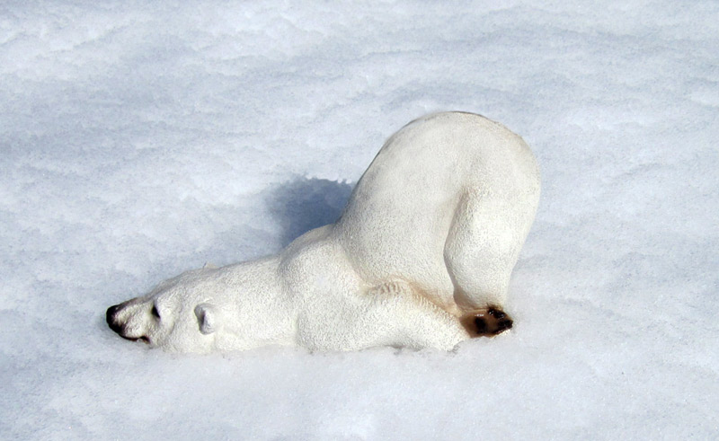 Les 12 Choses A Faire Apres Une Tempete De Neige