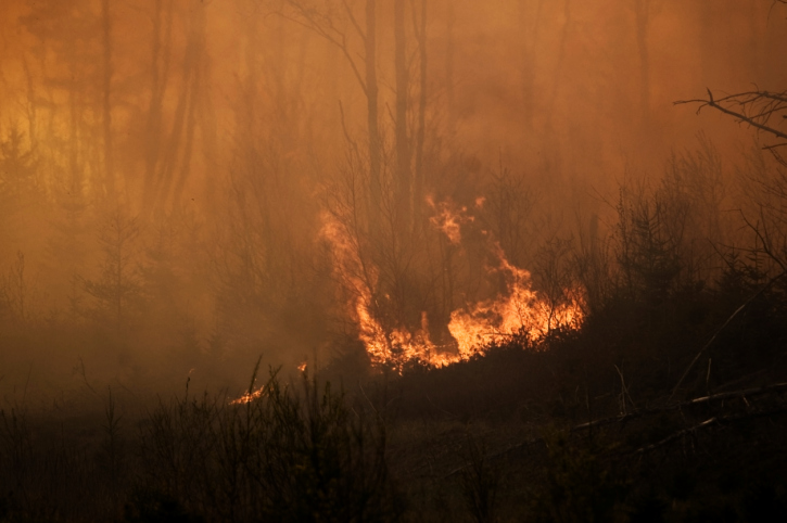 Un feu de forêt