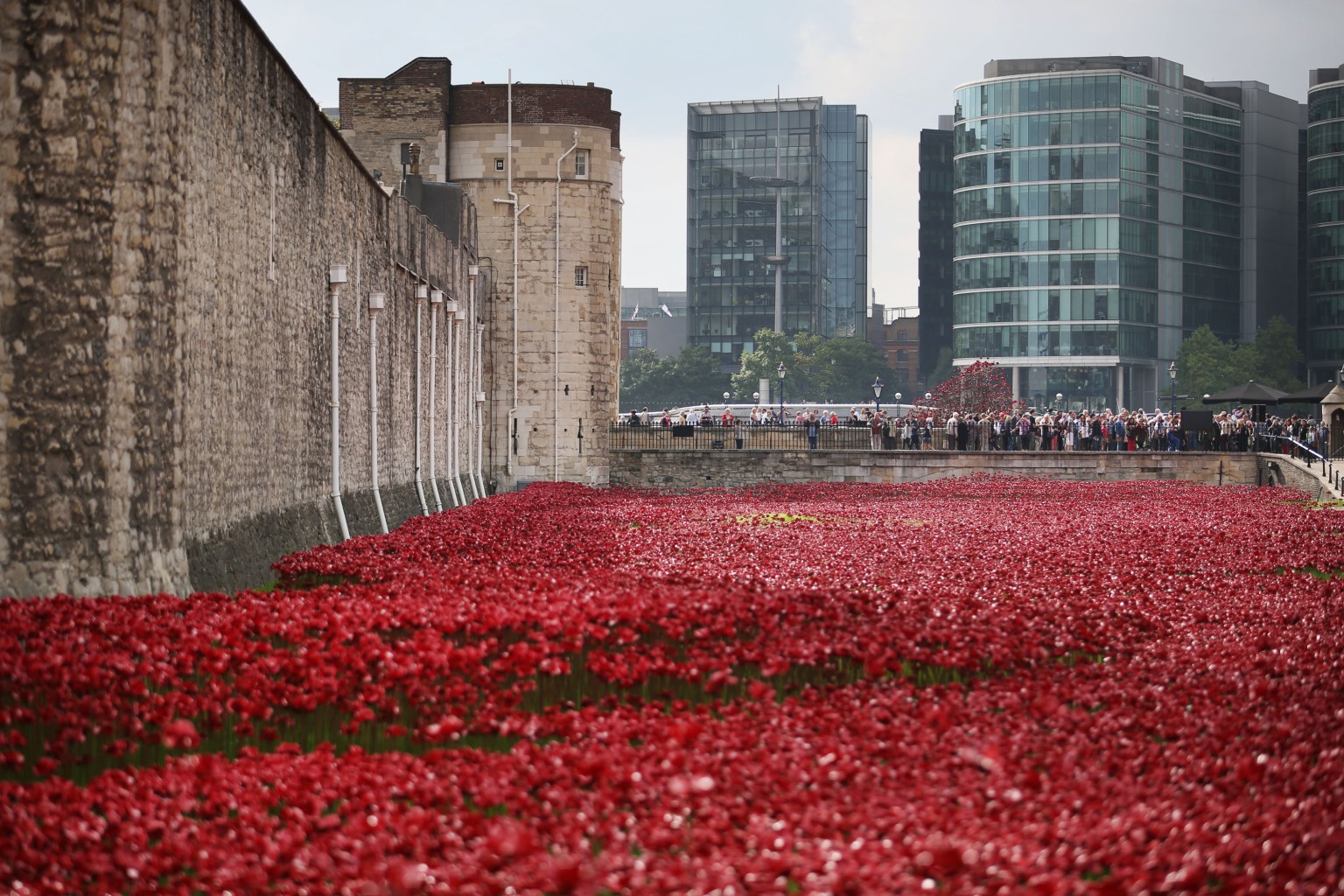 Ред ран. Blood Swept Lands and Seas of Red. Blood Swept Lands and Seas of Red 