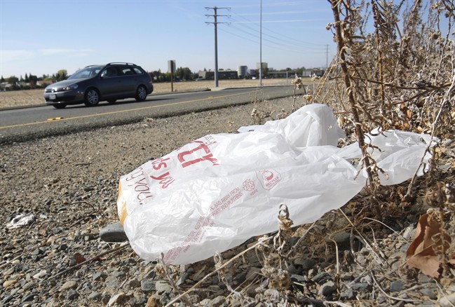 L I P E Interdira Les Sacs En Plastique