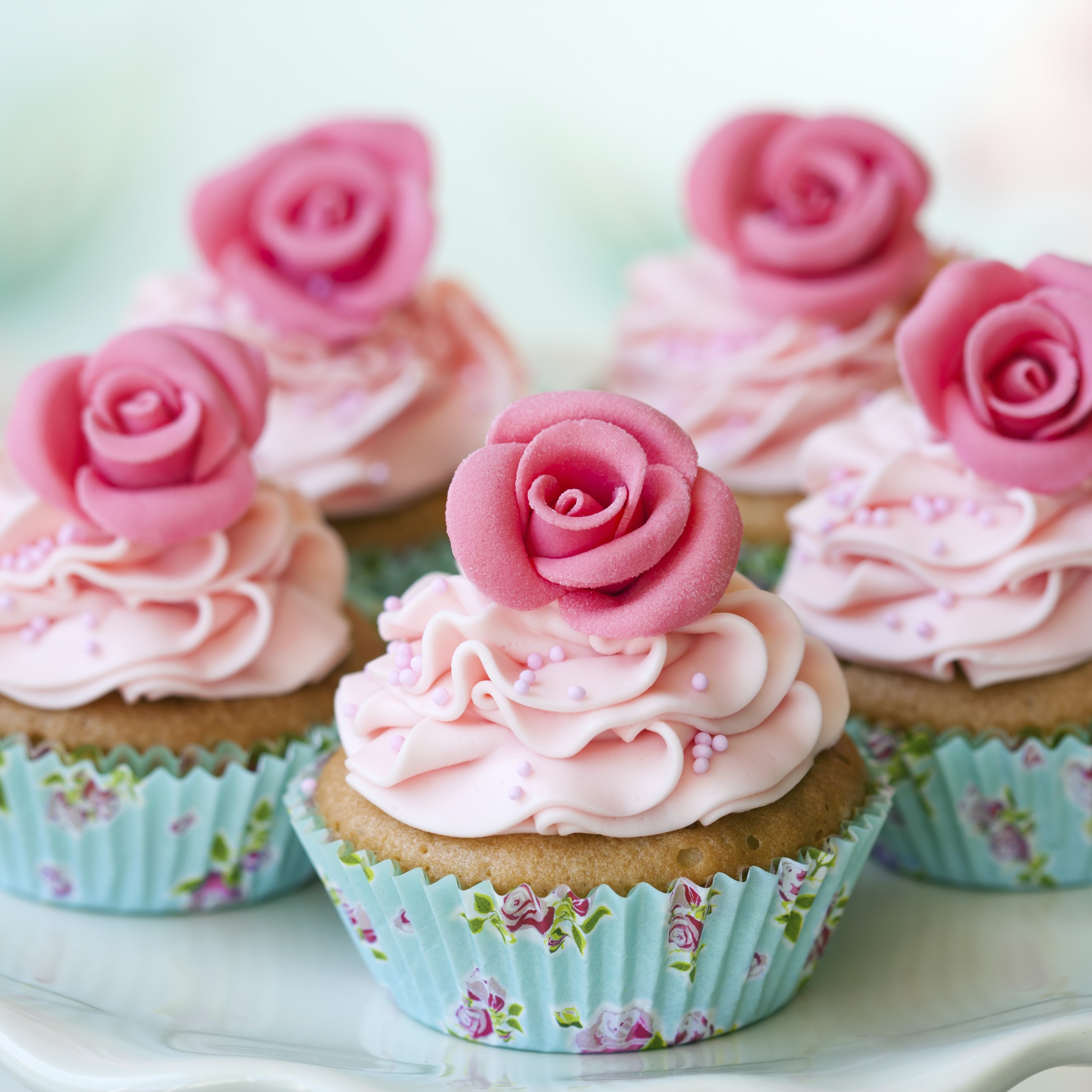 Sucres cupcake