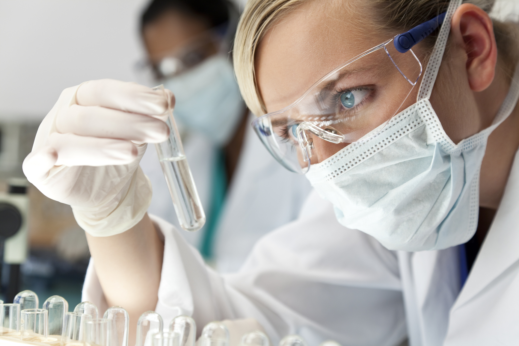 papillomavirus science étude humains lapins rats