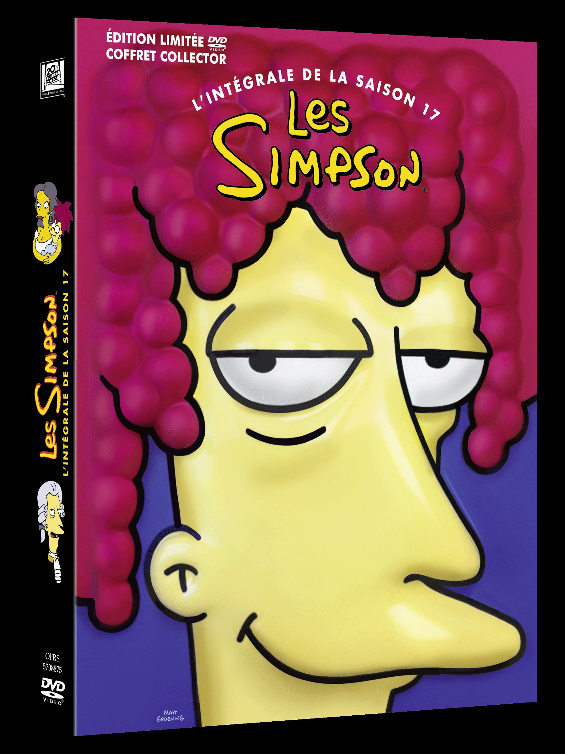 Coffret Simpsons DVD