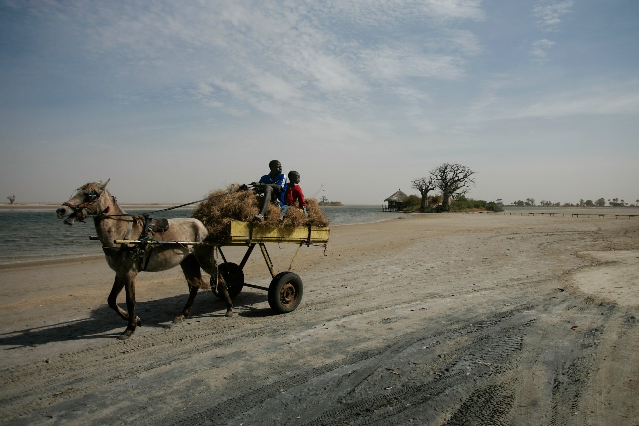 voyage au sine saloum avec olivier
