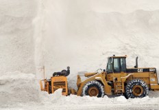 D&eacute;n&eacute;igement &eacute;cologique