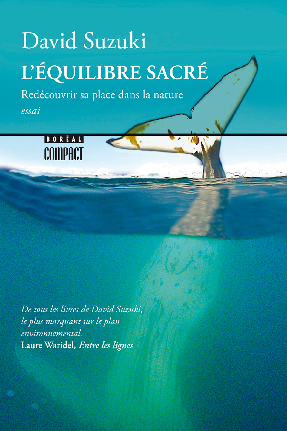 suzuki_equilibre