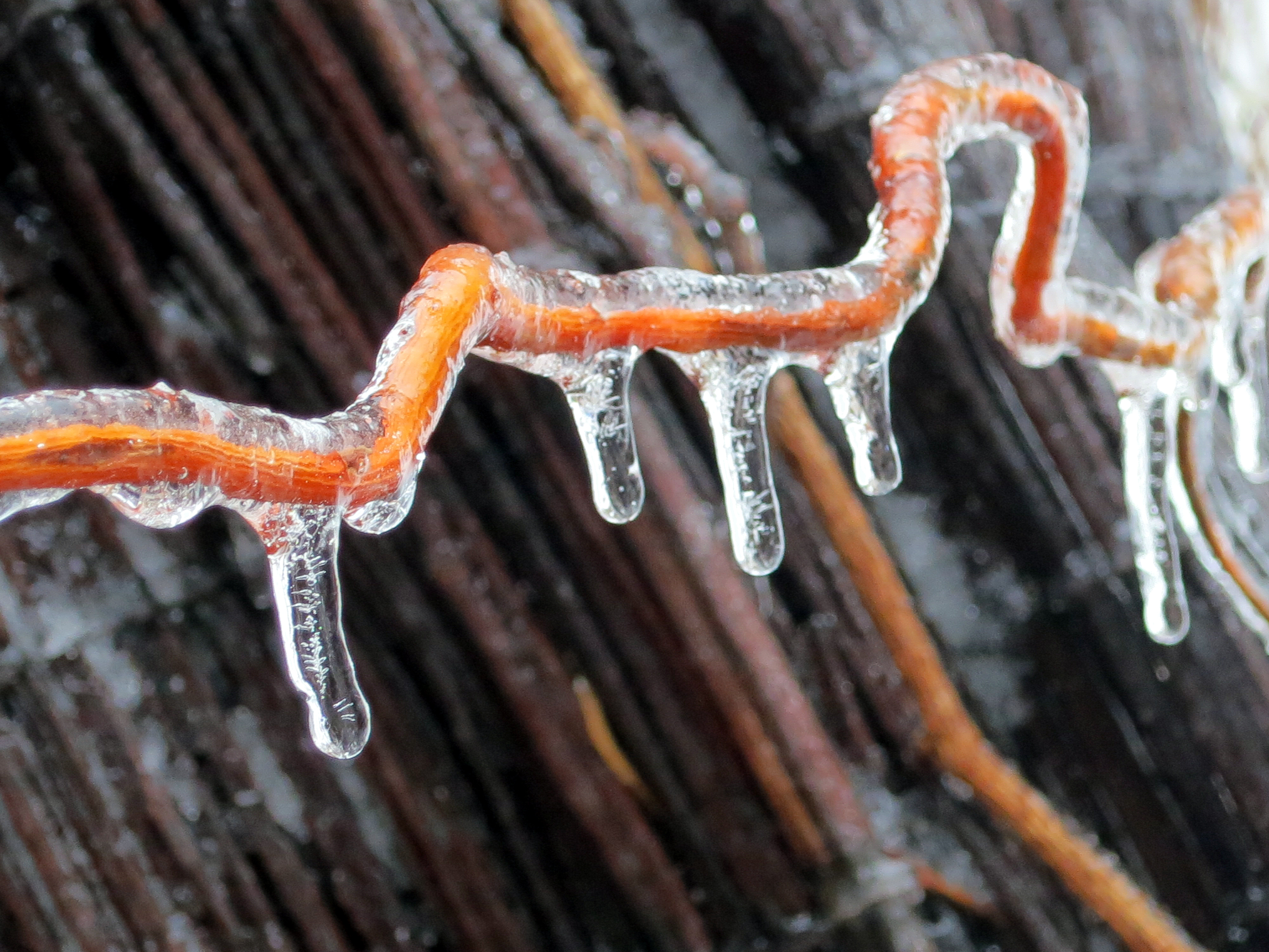 couche de glace 4 lettres