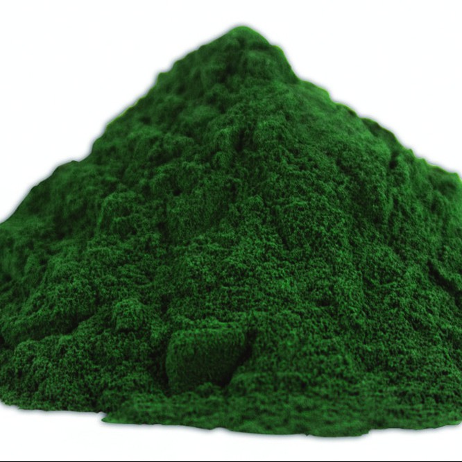 Poudre spiruline
