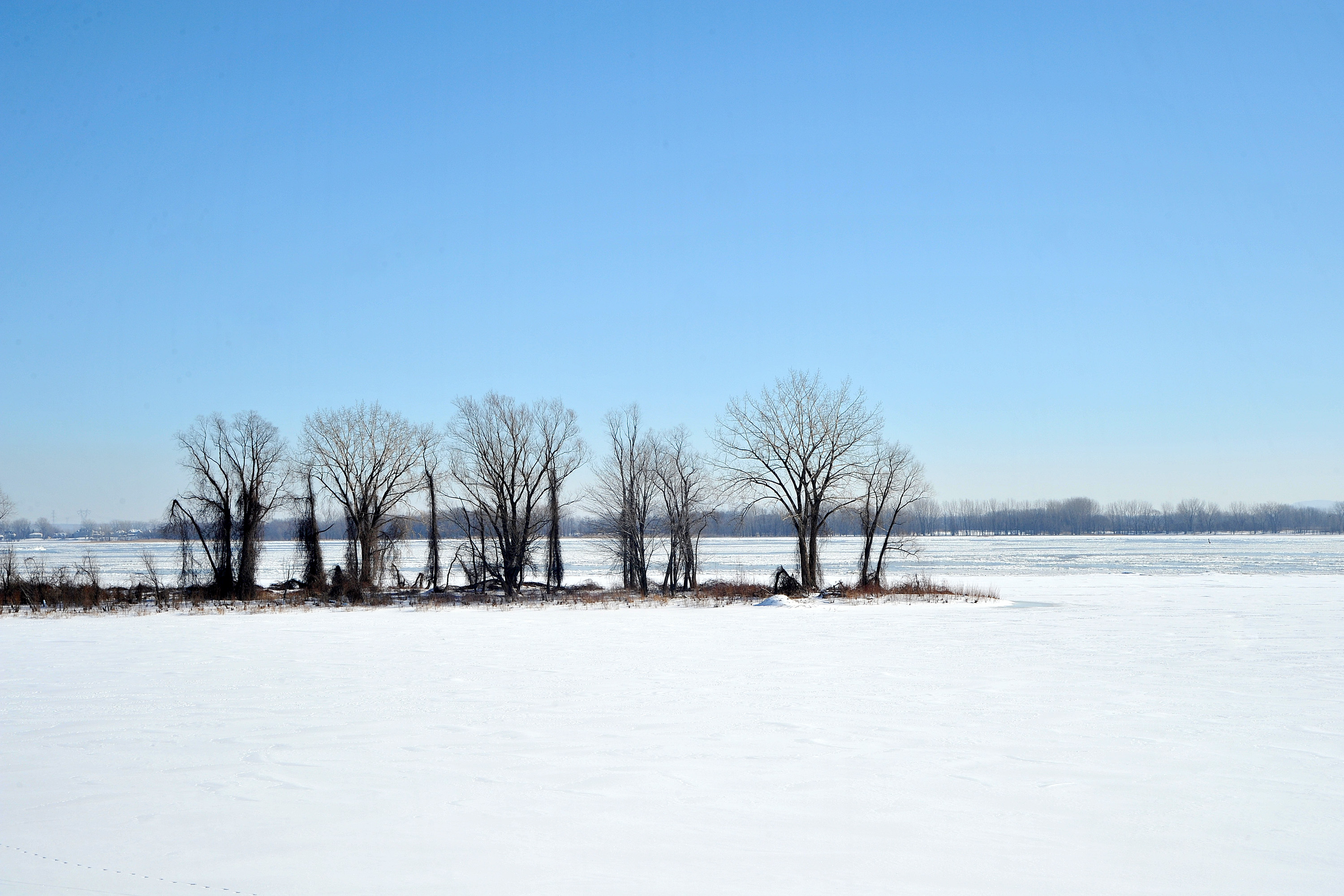 A-Fleuve (4)