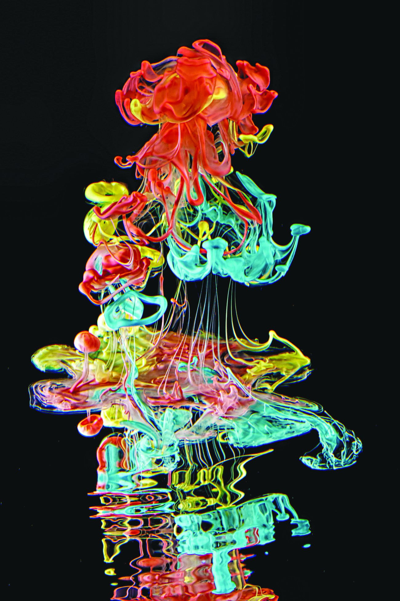 Solent News & Photo Agency